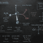 structures des acides amines représentation groupements fonctionnels