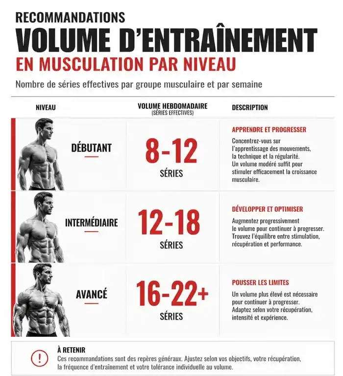 Tableau comparatif du nombre de séries par muscle par semaine selon le niveau en musculation