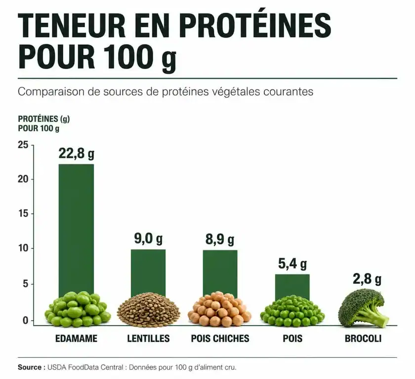 Infographie comparative des légumes riches en protéines par teneur pour 100g
