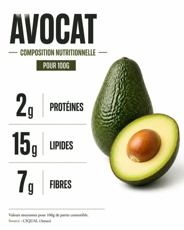 Infographie nutritionnelle : teneur en protéines, lipides et fibres d'un avocat pour 100g