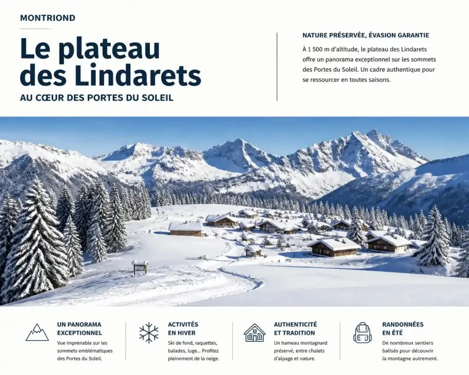 Plateau des Lindarets à Montriond pour vos cours de ski